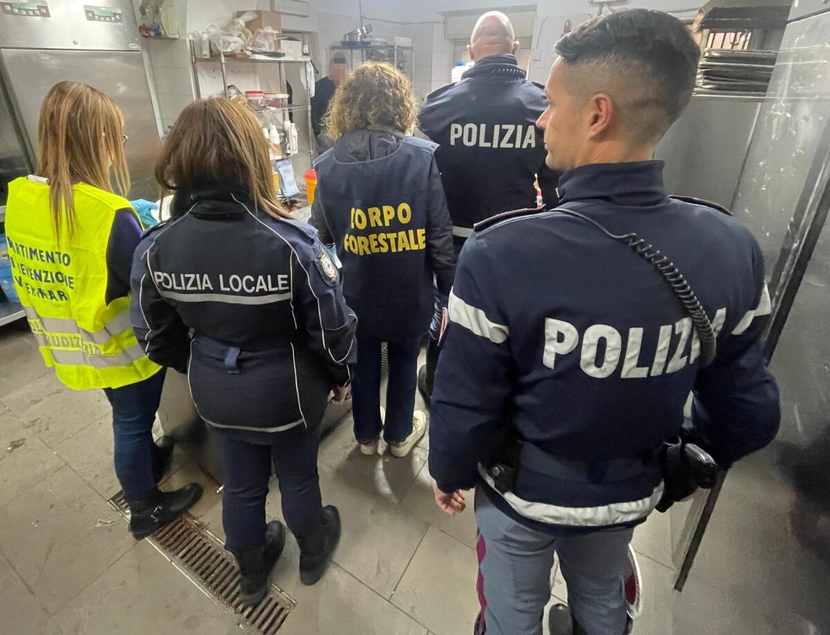 Scarafaggi nel laboratorio e 190 kg di cibo sequestrato: chiusi due locali a Catania - 