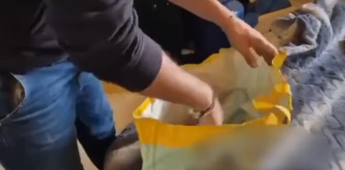 Santa Maria di Licodia, cocaina nascosta in edifici rurali: arrestato 34enne - 