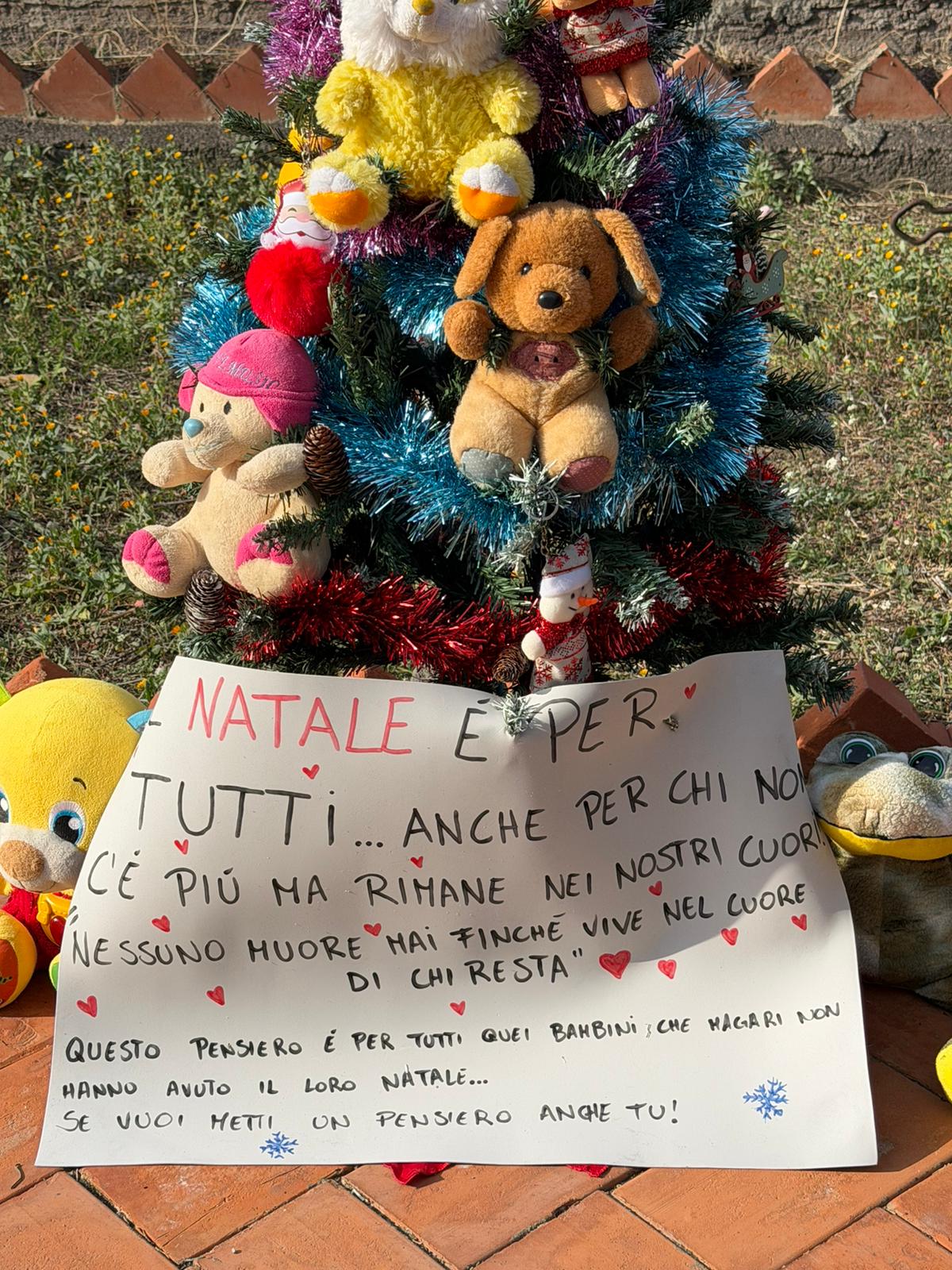Paternò, un albero di Natale al cimitero per i bambini che non ci sono più: il gesto silenzioso e commovente di alcune mamme