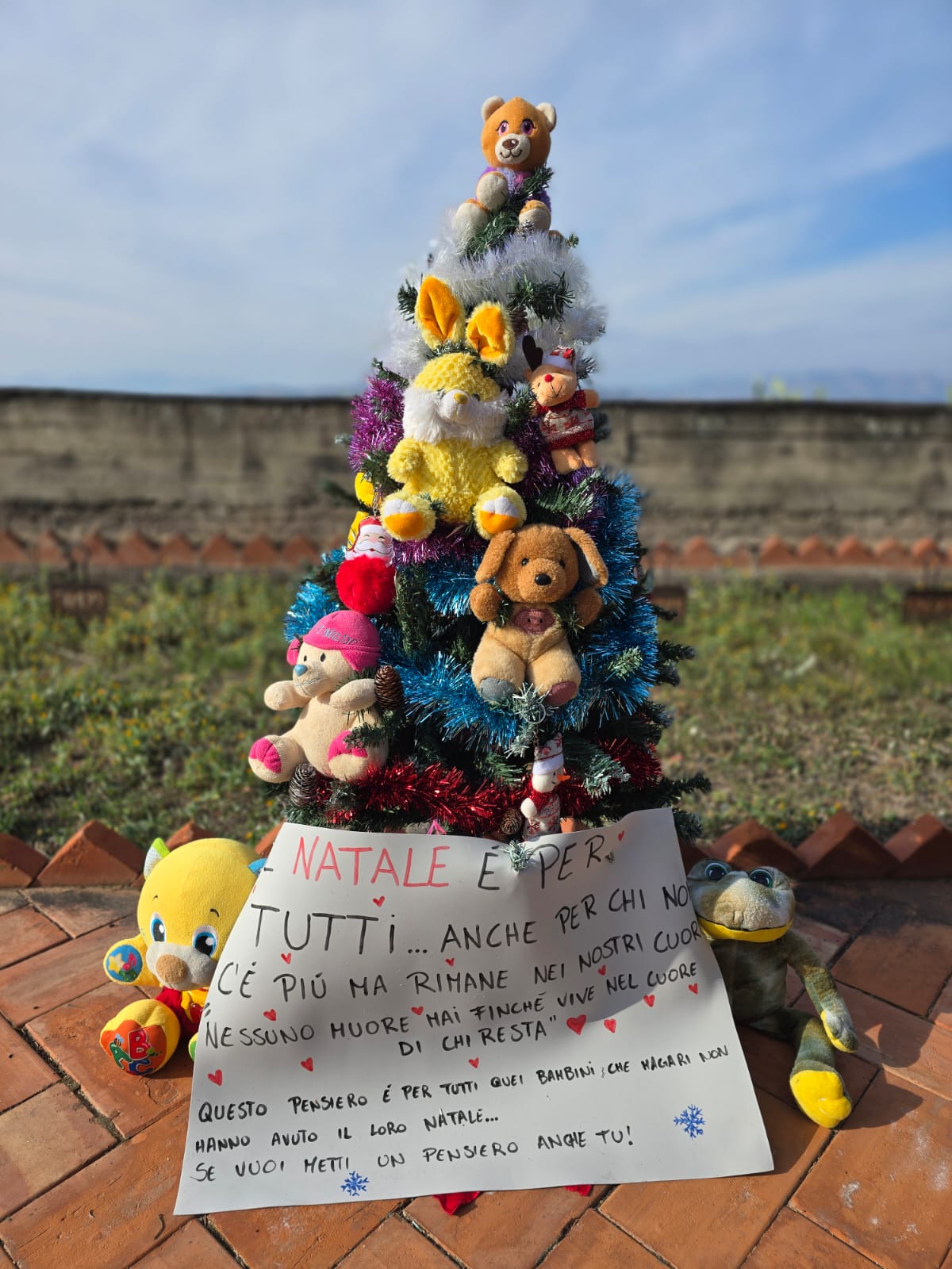 Paternò, un albero di Natale al cimitero per i bambini che non ci sono più: il gesto silenzioso e commovente di alcune mamme
