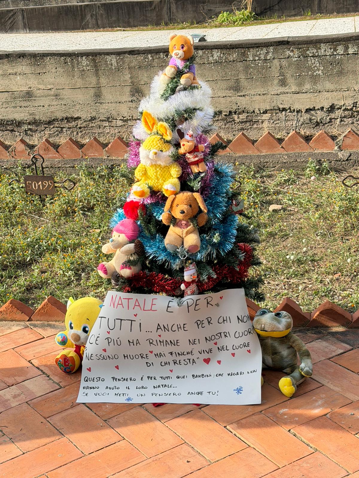 Paternò, un albero di Natale al cimitero per i bambini che non ci sono più: il gesto silenzioso e commovente di alcune mamme