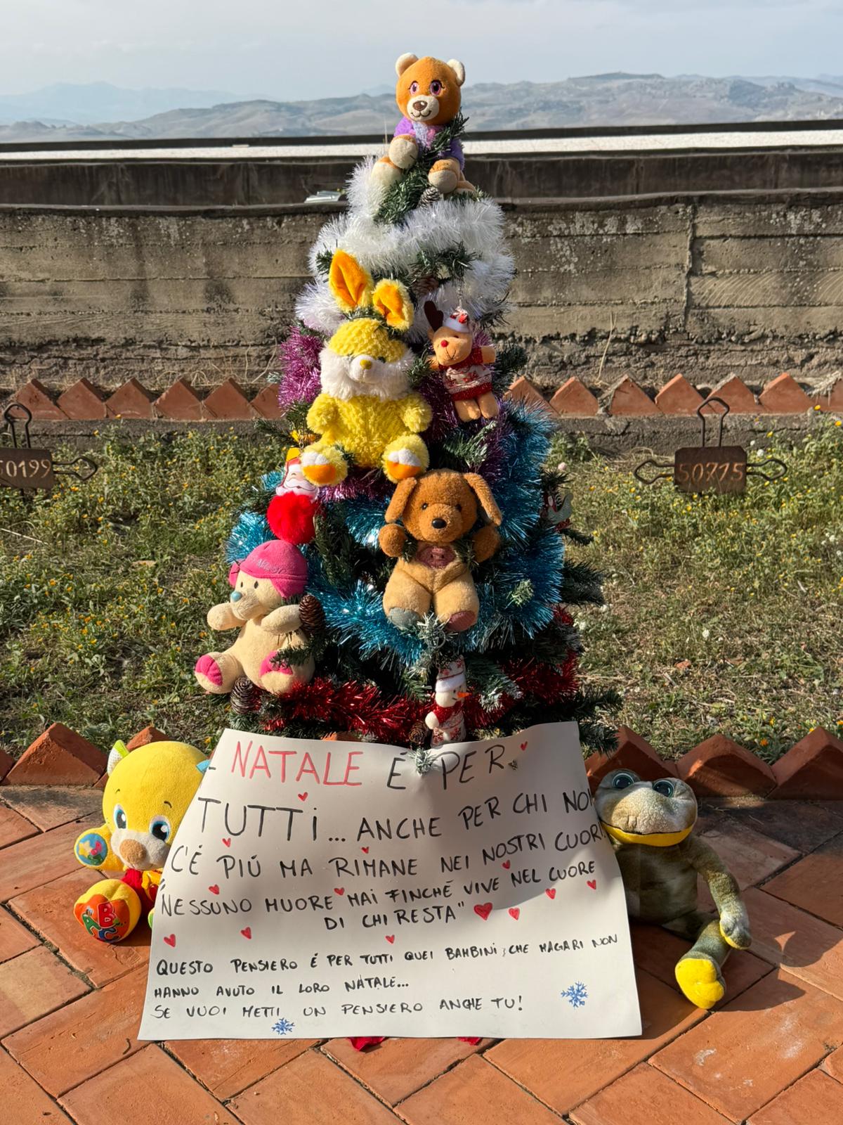 Paternò, un albero di Natale al cimitero per i bambini che non ci sono più: il gesto silenzioso e commovente di alcune mamme