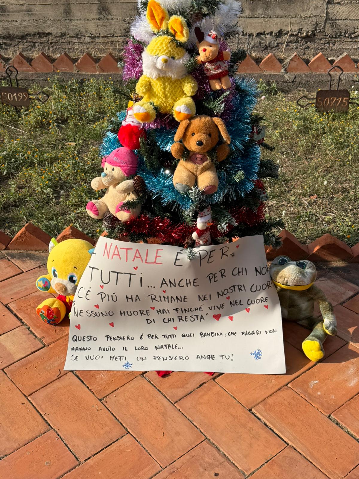 Paternò, un albero di Natale al cimitero per i bambini che non ci sono più: il gesto silenzioso e commovente di alcune mamme