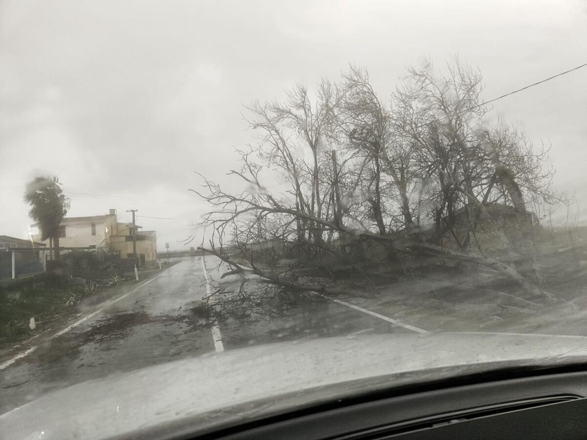 Ciclone “Harry” su Paternò: superati i 100 mm di pioggia, nelle prossime ore atteso un nuovo peggioramento - 