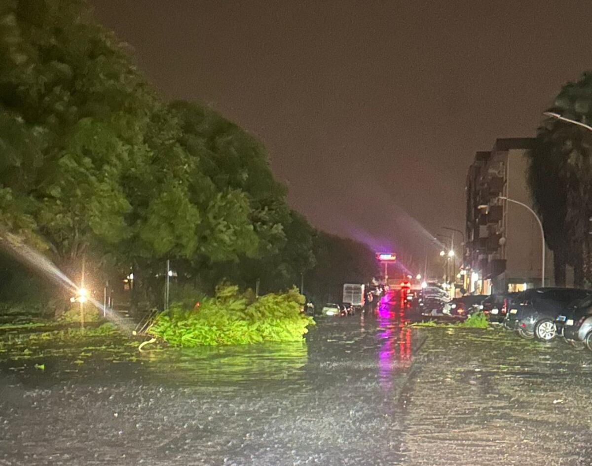 Ciclone “Harry” su Paternò: 200 mm di pioggia in 48 ore, rami caduti in viale dei Platani e via Togliatti - 