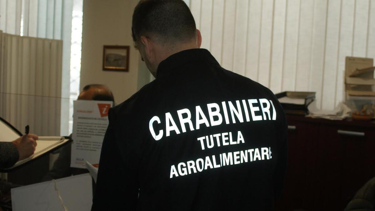 Truffa sui contributi agricoli: sequestrati oltre 454 mila euro a quattro imprenditori tra Messina e Catania - 