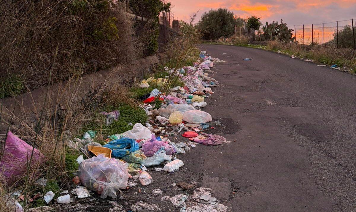 Santa Maria di Licodia, degrado e pericoli lungo la SP85: segnalazione dei residenti - 