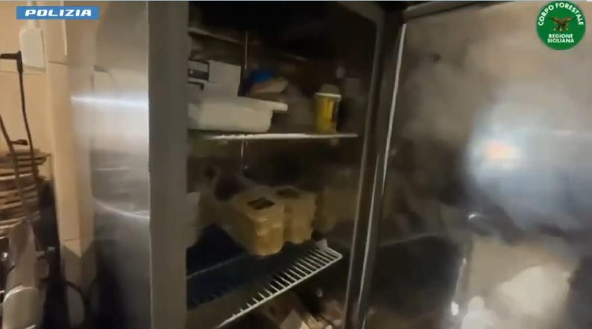 Pescheria di Catania, gamberi “fantasma” e cucina chiusa: scattano sanzioni per oltre 10 mila euro - 