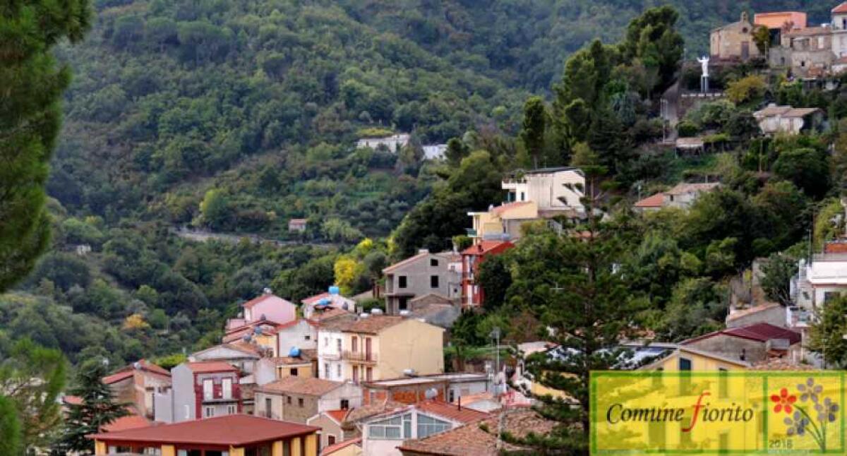 Giallo nel Messinese: tre cadaveri trovati nei boschi di Montagnareale, indagini in corso - 