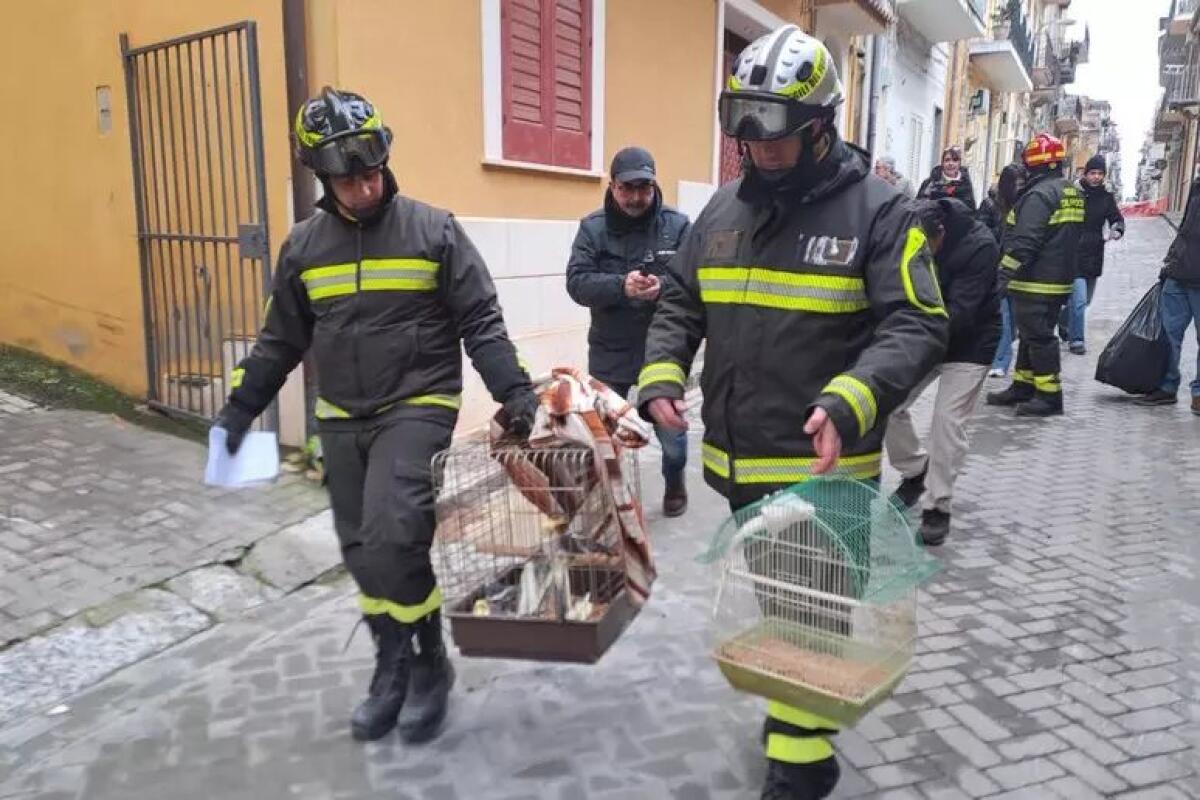 “Sono come figli”: sfollati a Niscemi, Pino e Rita riabbracciano i pappagalli grazie ai vigili del fuoco - 