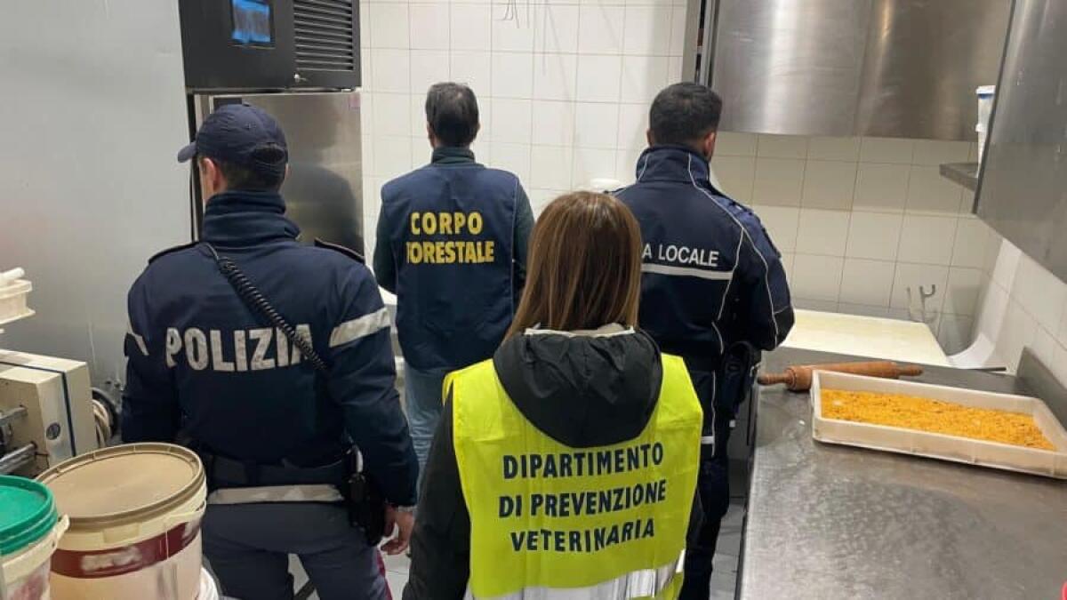 Controlli a tappeto in un bar-ristorante di viale Kennedy: lavoro nero, cibo sequestrato e maxi sanzioni per oltre 26 mila euro - 