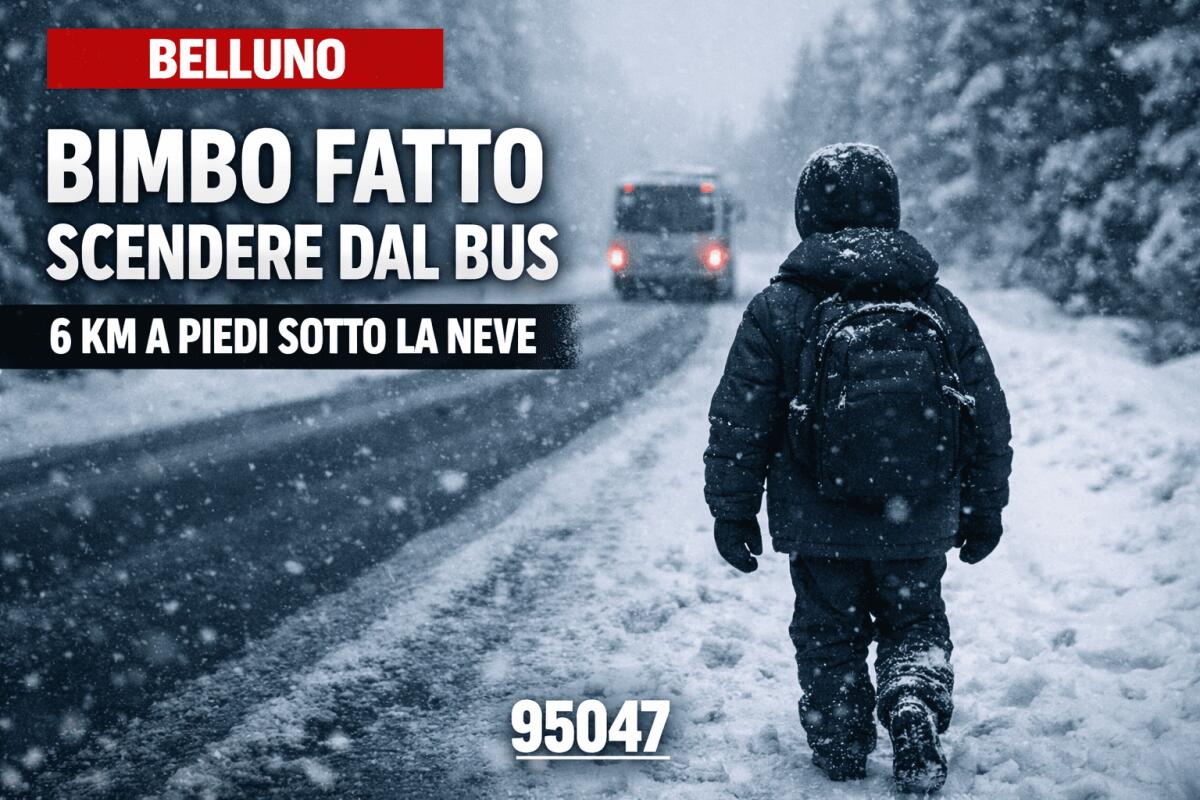 Belluno, 11enne fatto scendere dal bus perché senza biglietto: sei chilometri a piedi sotto la neve - 
