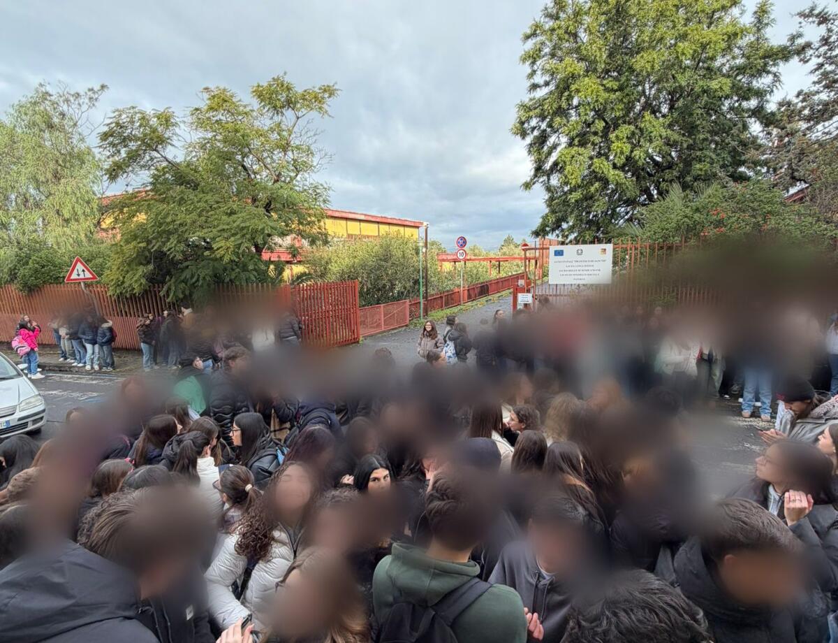 Paternò, studenti del liceo De Sanctis in sciopero: “Mancati controlli nella struttura” - 