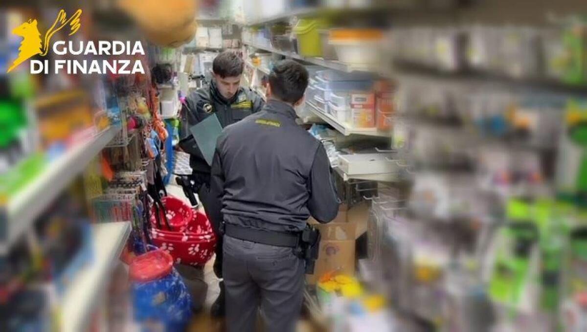 Paternò, Adrano e Biancavilla nel mirino della Guardia di Finanza: sequestrati oltre 70 mila prodotti pericolosi e scoperti due lavoratori in nero - 