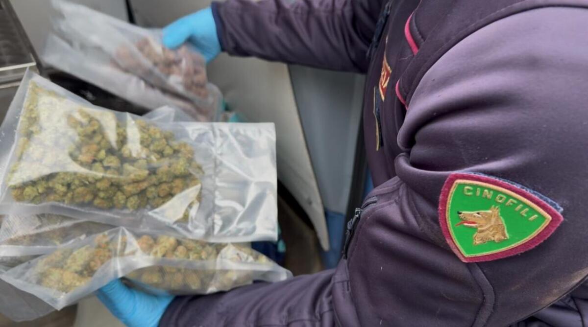 Catania, maxi operazione antidroga a San Giovanni Galermo: sequestri, arresti e controlli - 