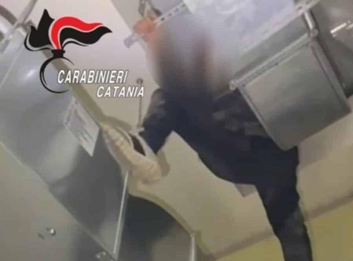 Notte di follia a Catania: ladro si nasconde nel soffitto, poi la fuga sui tett - 