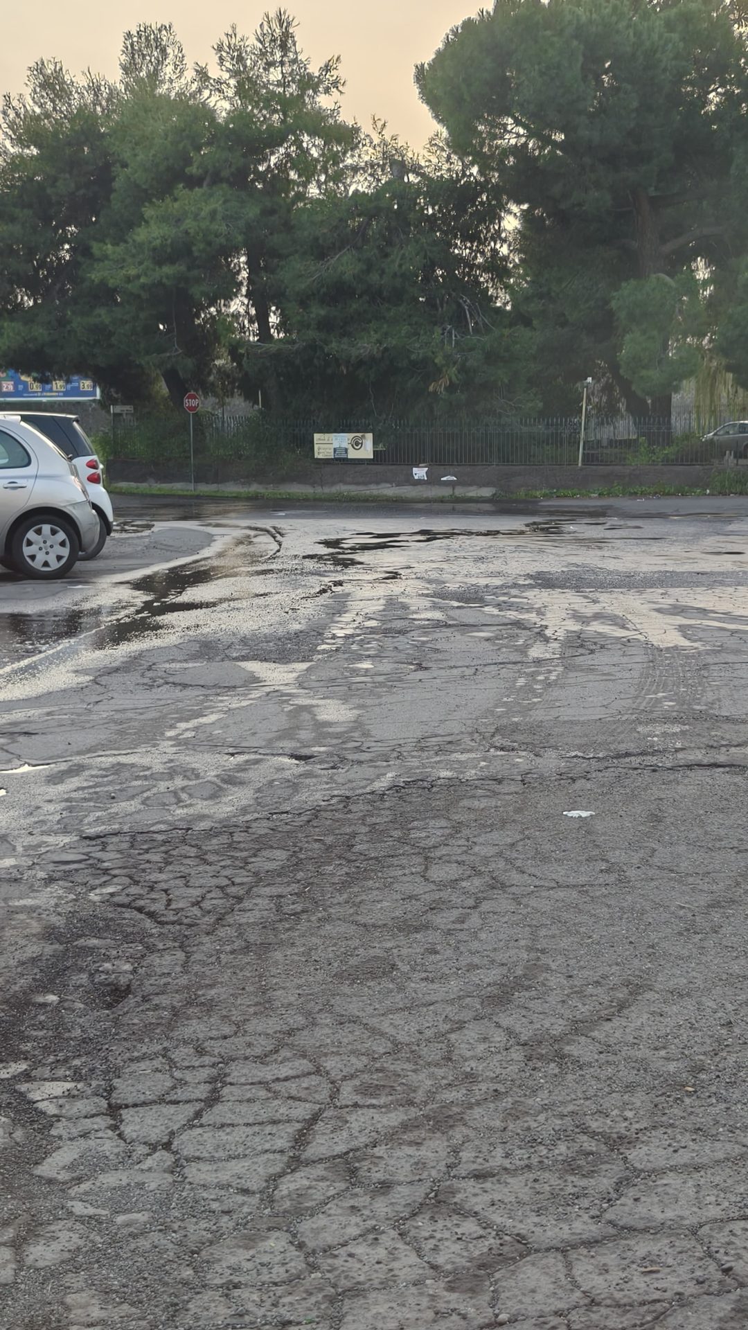 Paternò, segnalata perdita d’acqua persistente tra via dei Platani e via delle Ninfee