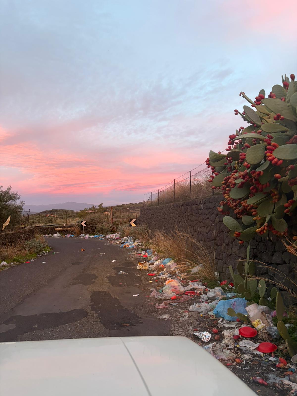 Santa Maria di Licodia, degrado e pericoli lungo la SP85: segnalazione dei residenti
