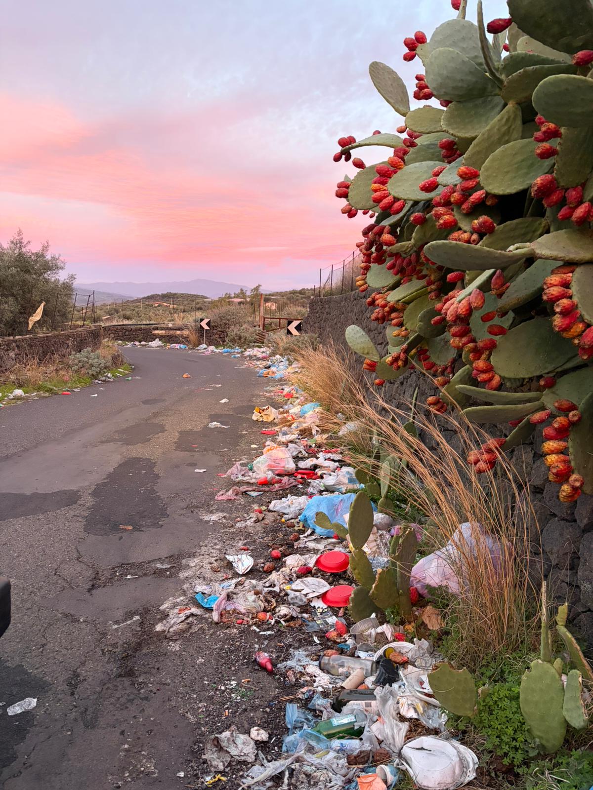Santa Maria di Licodia, degrado e pericoli lungo la SP85: segnalazione dei residenti