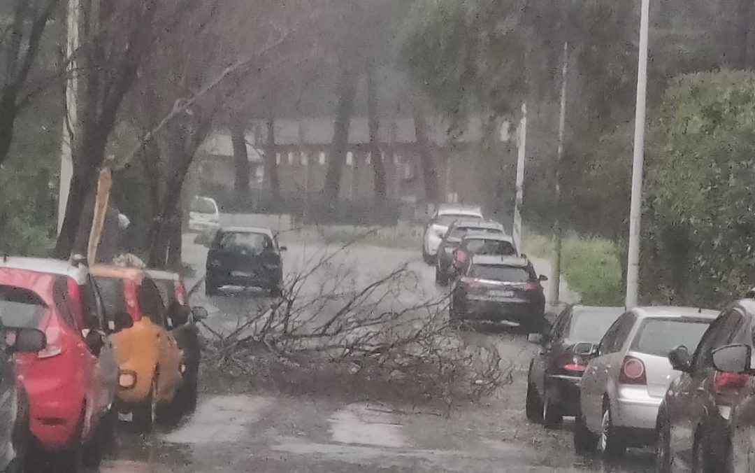 Ciclone “Harry” su Paternò: 200 mm di pioggia in 48 ore, rami caduti in viale dei Platani e via Togliatti