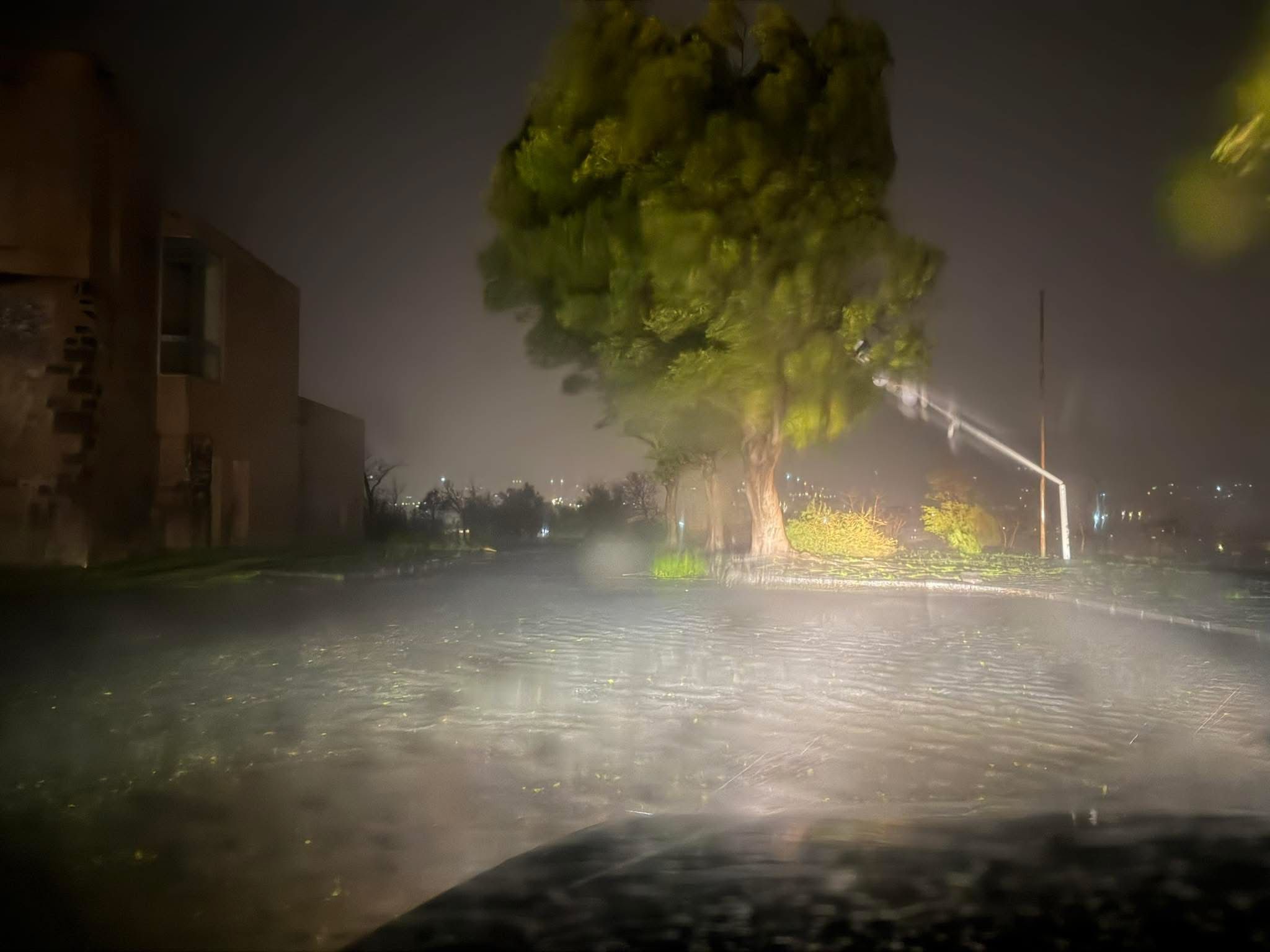 Maltempo, ricognizione dell’Archeoclub sulla collina storica: caduti un cipresso e un palo di videosorveglianza