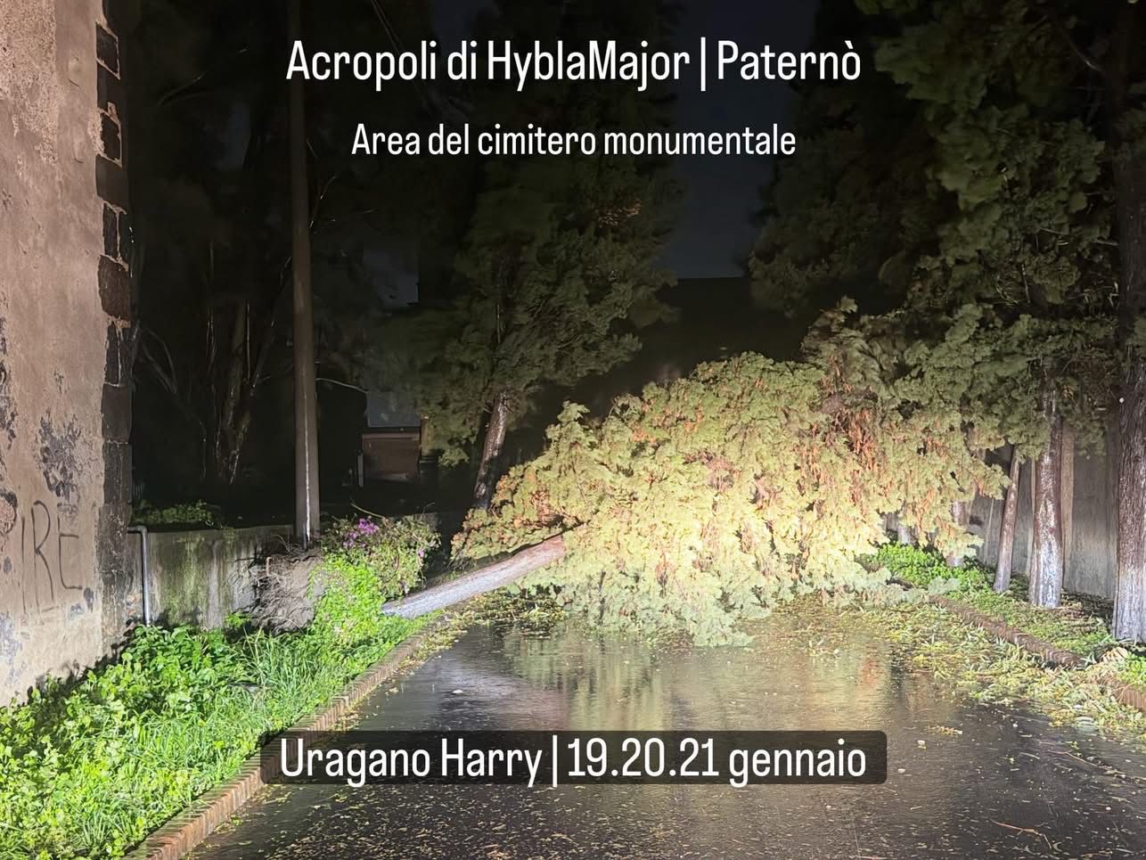 Maltempo, ricognizione dell’Archeoclub sulla collina storica: caduti un cipresso e un palo di videosorveglianza