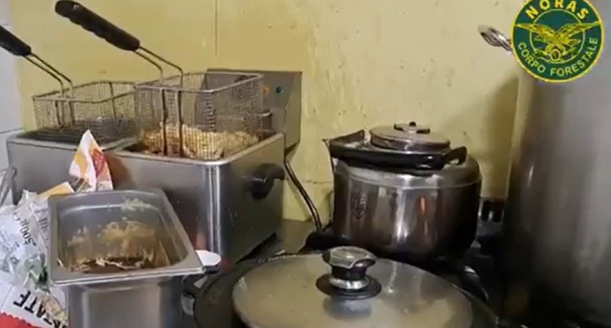 Paternò, controlli in due attività. Carni senza tracciabilità e gravi irregolarità igieniche - 