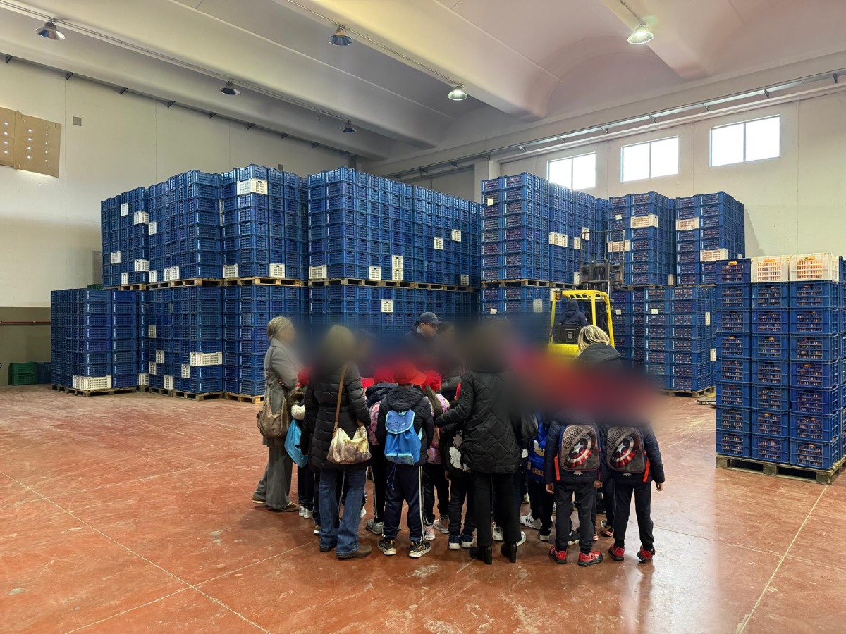 La scuola “Guglielmo Marconi” in visita alla Cooperativa “Il Girasole”: alla scoperta della filiera degli agrumi - 