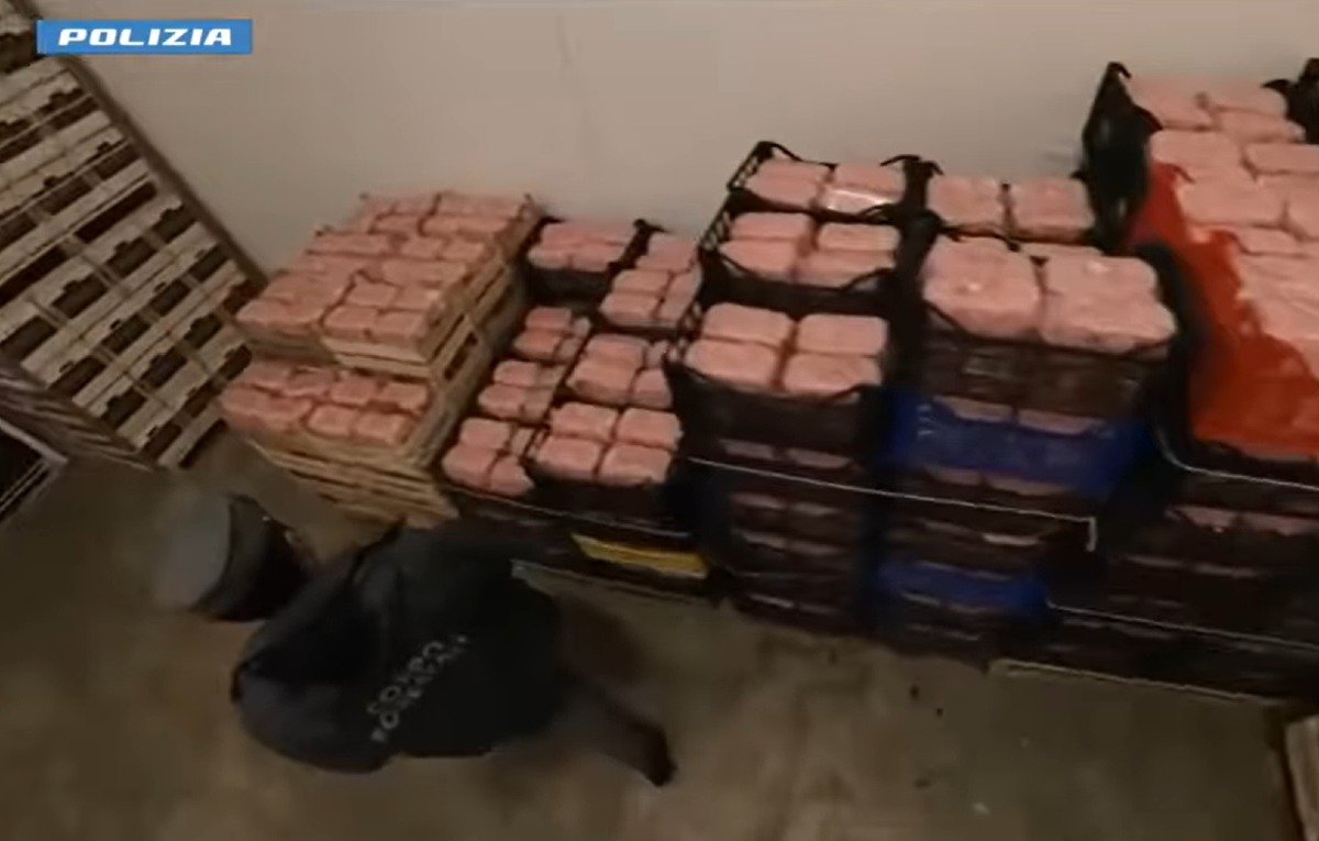 Catania, 4,5 tonnellate di ortofrutta sequestrate al MAAS: sanzioni per oltre 5mila euro - 