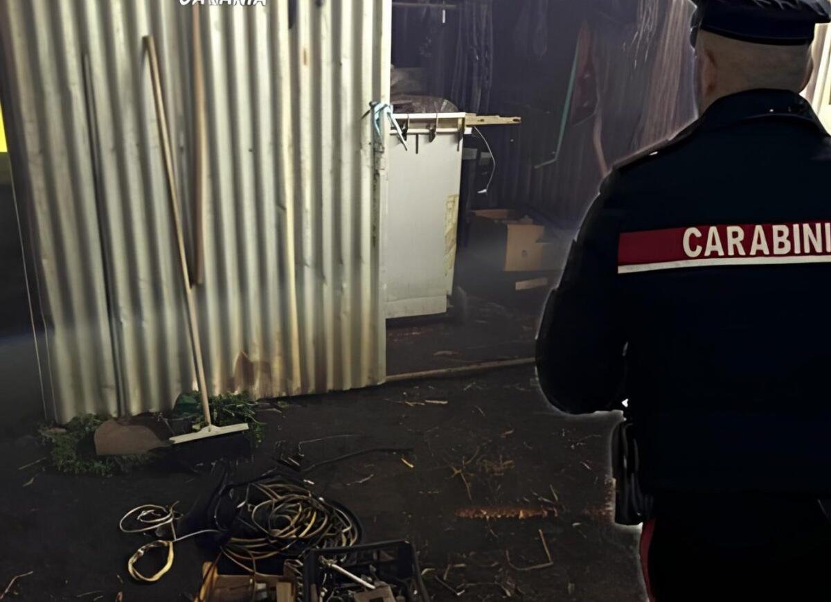 Gravina di Catania, arrestato il “palo” di una banda di ladri: 45enne di San Pietro Clarenza - 