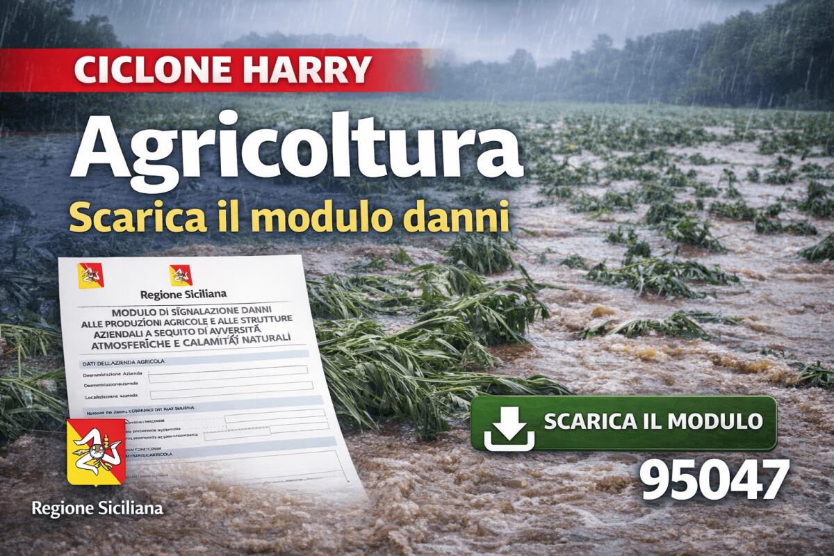 Ciclone “Harry”, agricoltura: come segnalare i danni, online il modulo regionale - 