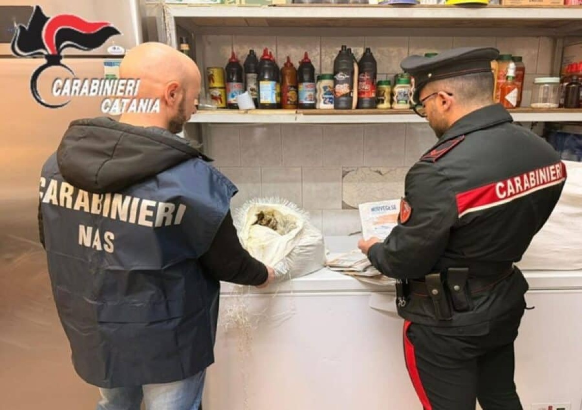 Catania, controlli dei NAS in una panineria: salmone scaduto e patatine fuori dal freezer, multa da 3.500 euro - 