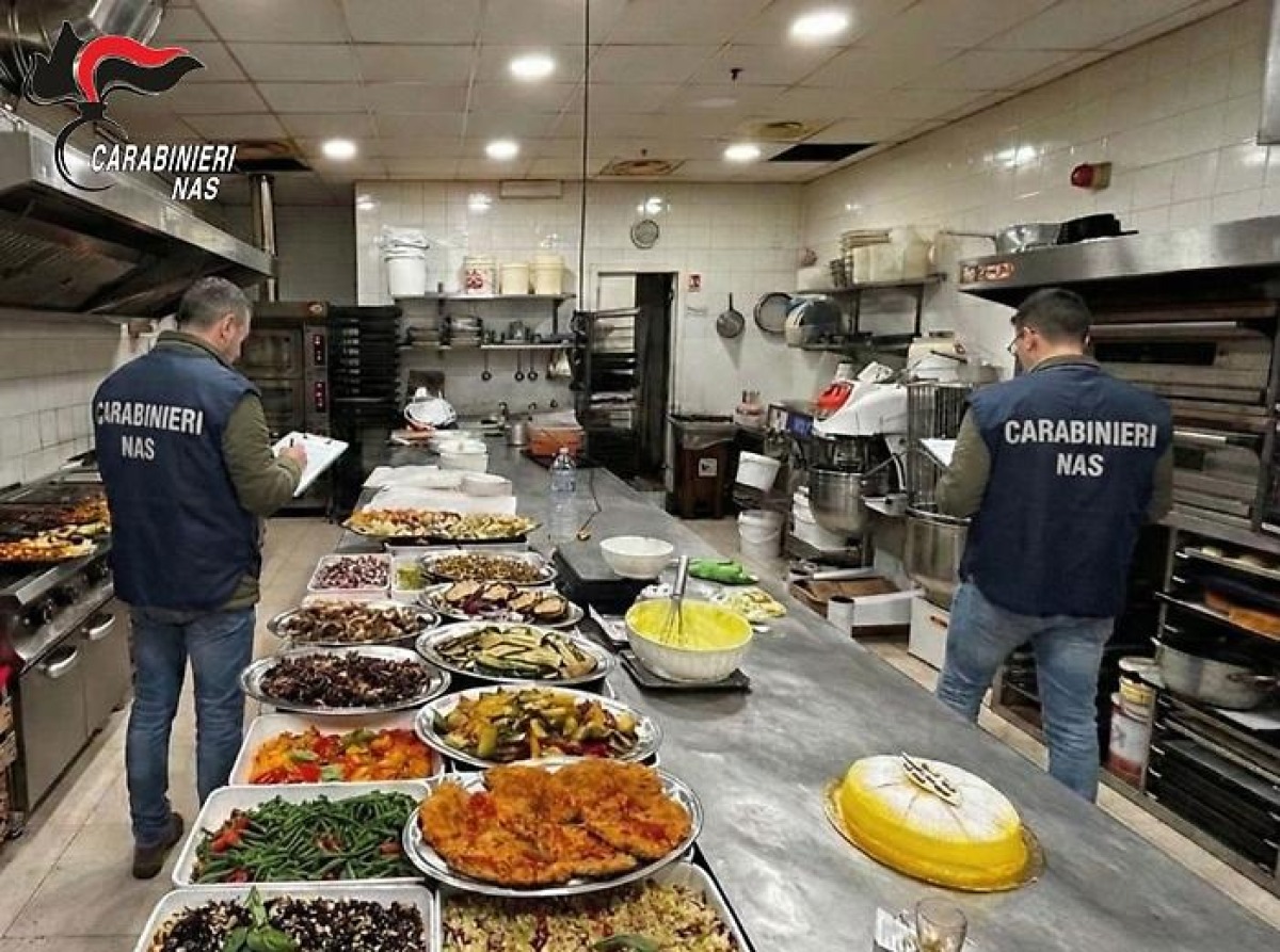 Blatte tra gli alimenti: NAS chiudono ristorante in un centro commerciale di Catania - 