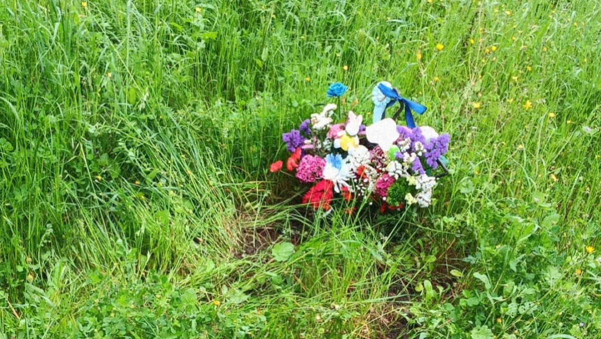 Paternò, segnalazione: tombe dei bambini abbandonate tra erba e degrado al cimitero vecchio - 