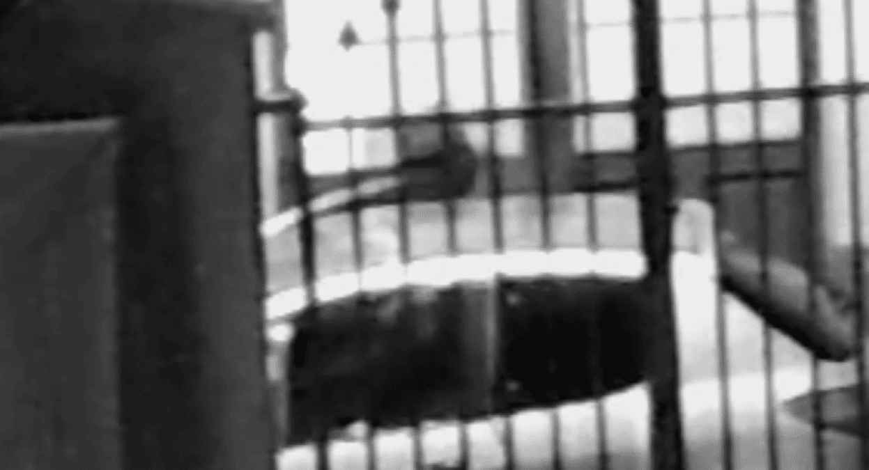 PIEDIMONTE ETNEO. incendia un’auto e rischia una strage: fiamme vicino al gas, denunciato 57enne - 