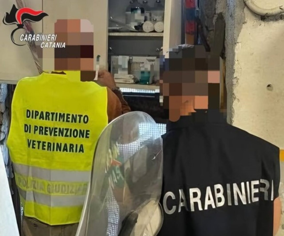 RANDAZZO. Due cani tra degrado e maltrattamenti: salvati dai Carabinieri, denunciato il proprietario - 