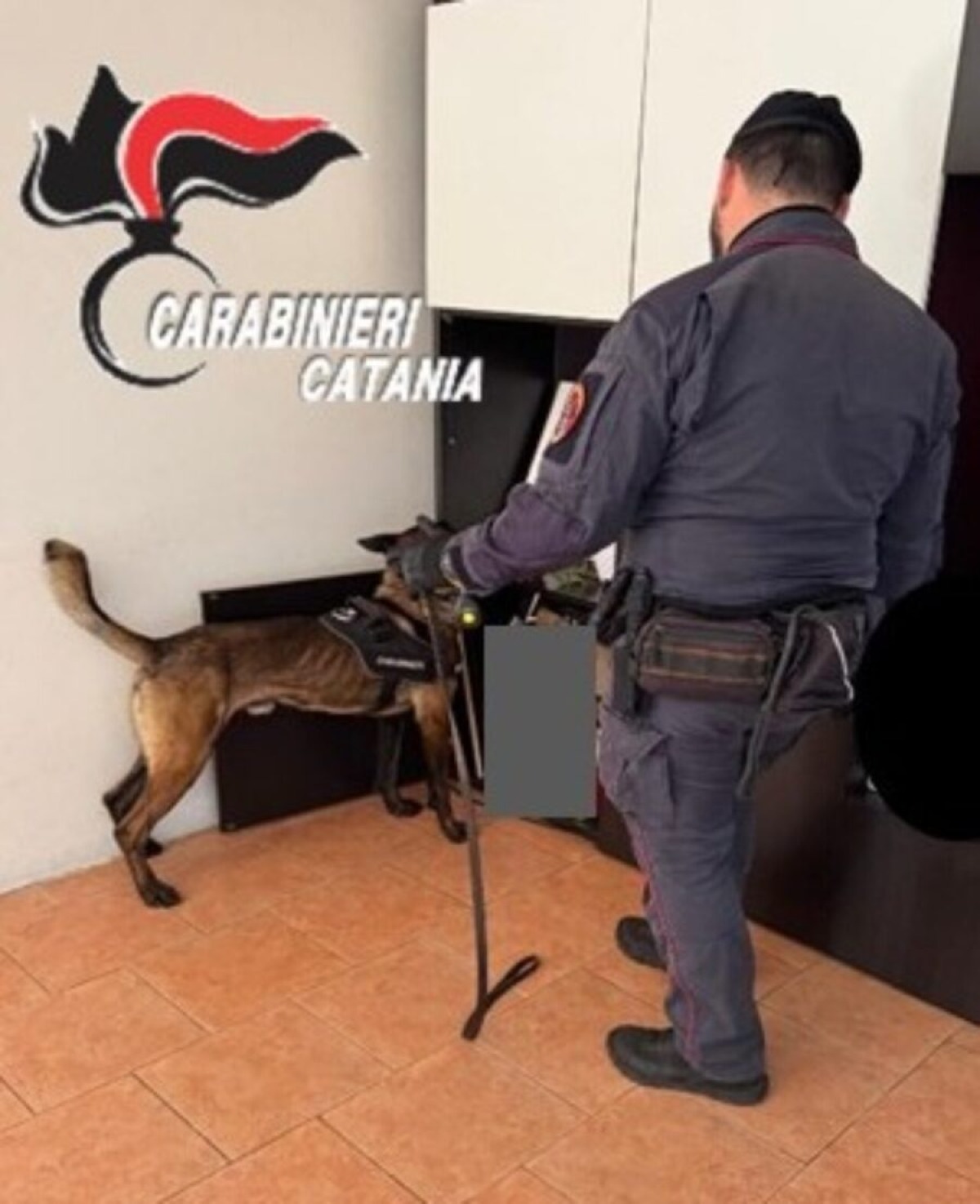 BELPASSO. BUTTA LA COCAINA DAL BALCONE ALL’ARRIVO DEI CARABINIERI: 18ENNE ARRESTATO - 