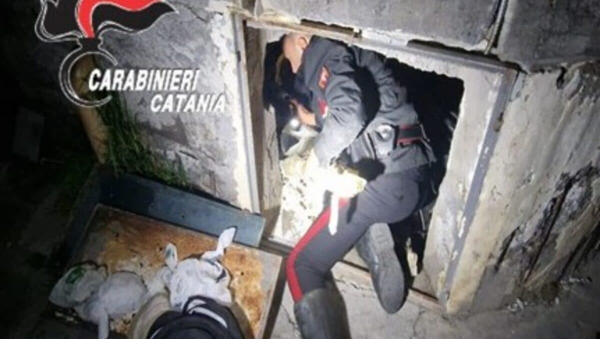 San Pietro Clarenza, arsenale nascosto sotto casa: trovati Kalashnikov, pistola e droga, arrestato 38enne - 