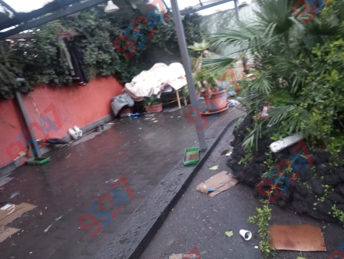 Galleria del 17/03/2026 07:06