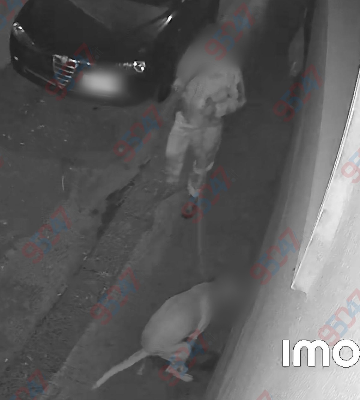 Paternò, il cane fa i bisogni davanti al portone in via Po': protestano i residenti (FOTO) - 