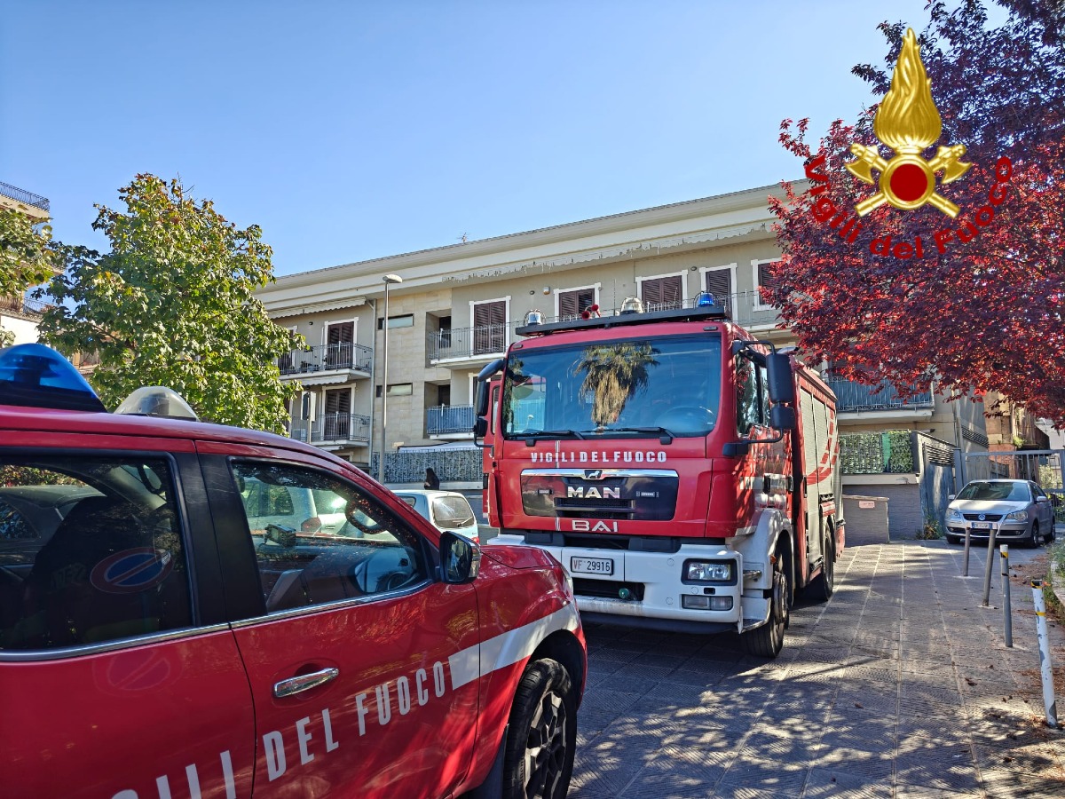 Tremestieri Etneo, incendio in appartamento: fiamme domate dai Vigili del Fuoco, muore un gatto - 