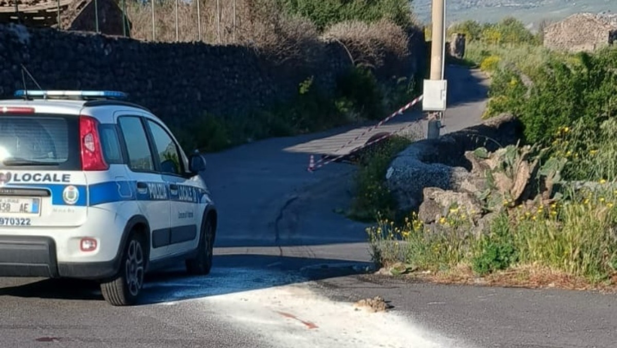 Paternò, cavalla travolta e uccisa sulla “vecchia” SS121 in zona Schettino: ferito il conducente del mezzo  - 