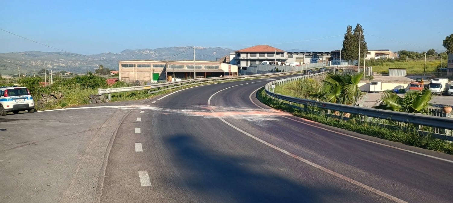 AGGIORNAMENTO. Paternò, cavalla travolta sulla “vecchia” SS121 a Schettino: ferito il conducente dell’auto - 