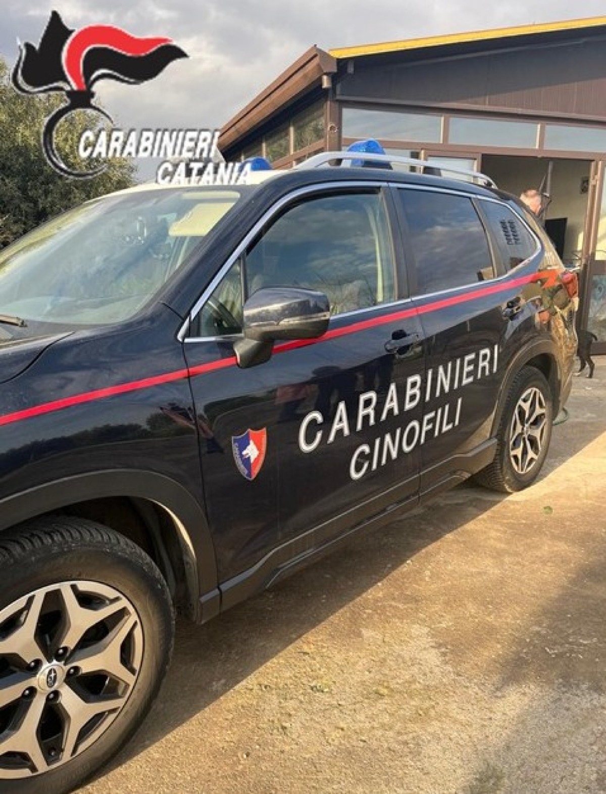 Belpasso. Lancia la droga dalla finestra: scoperto e arrestato dai Carabinieri - 