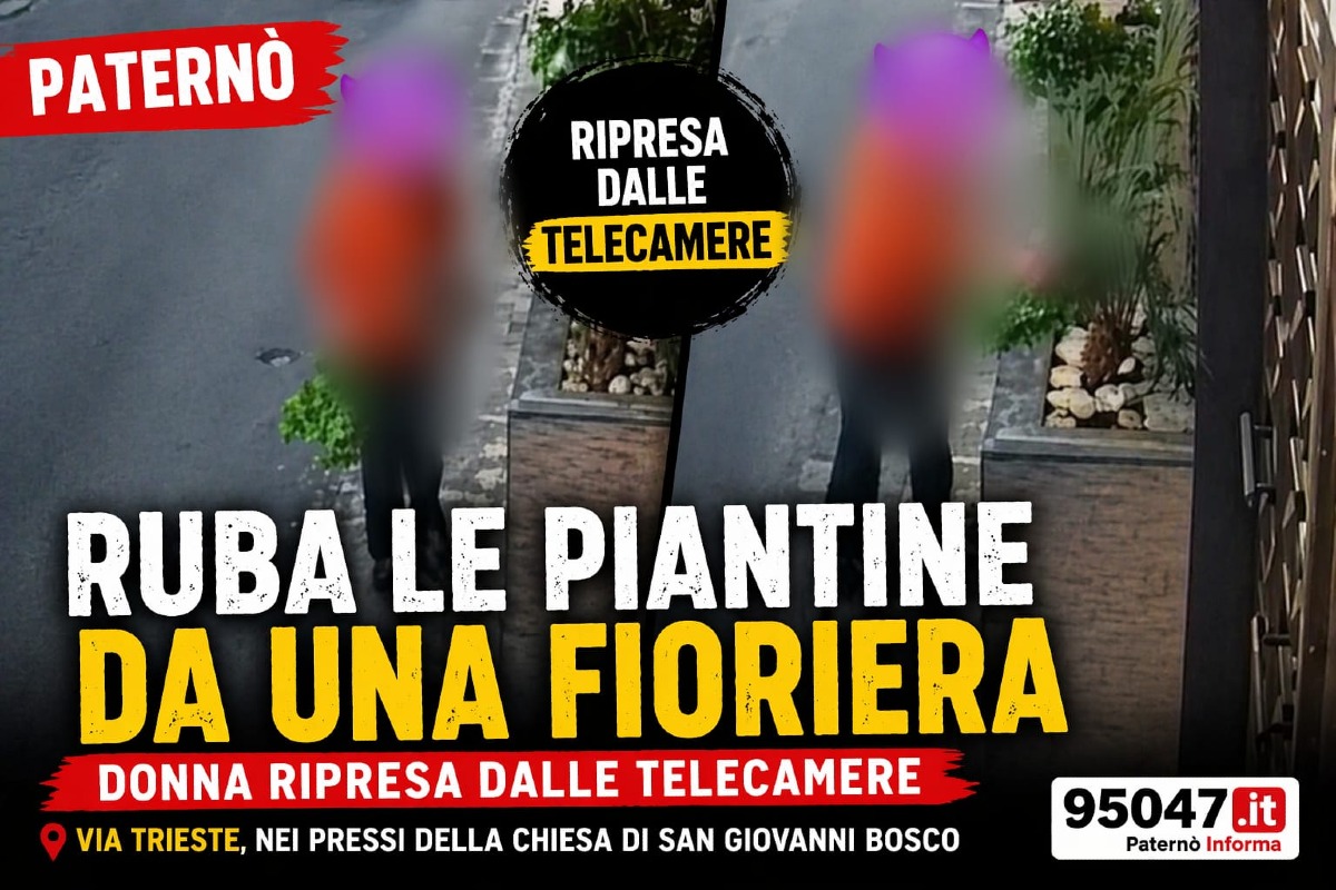 Paternò, svuota una fioriera e porta via tutte le piante: donna ripresa dalle telecamere
