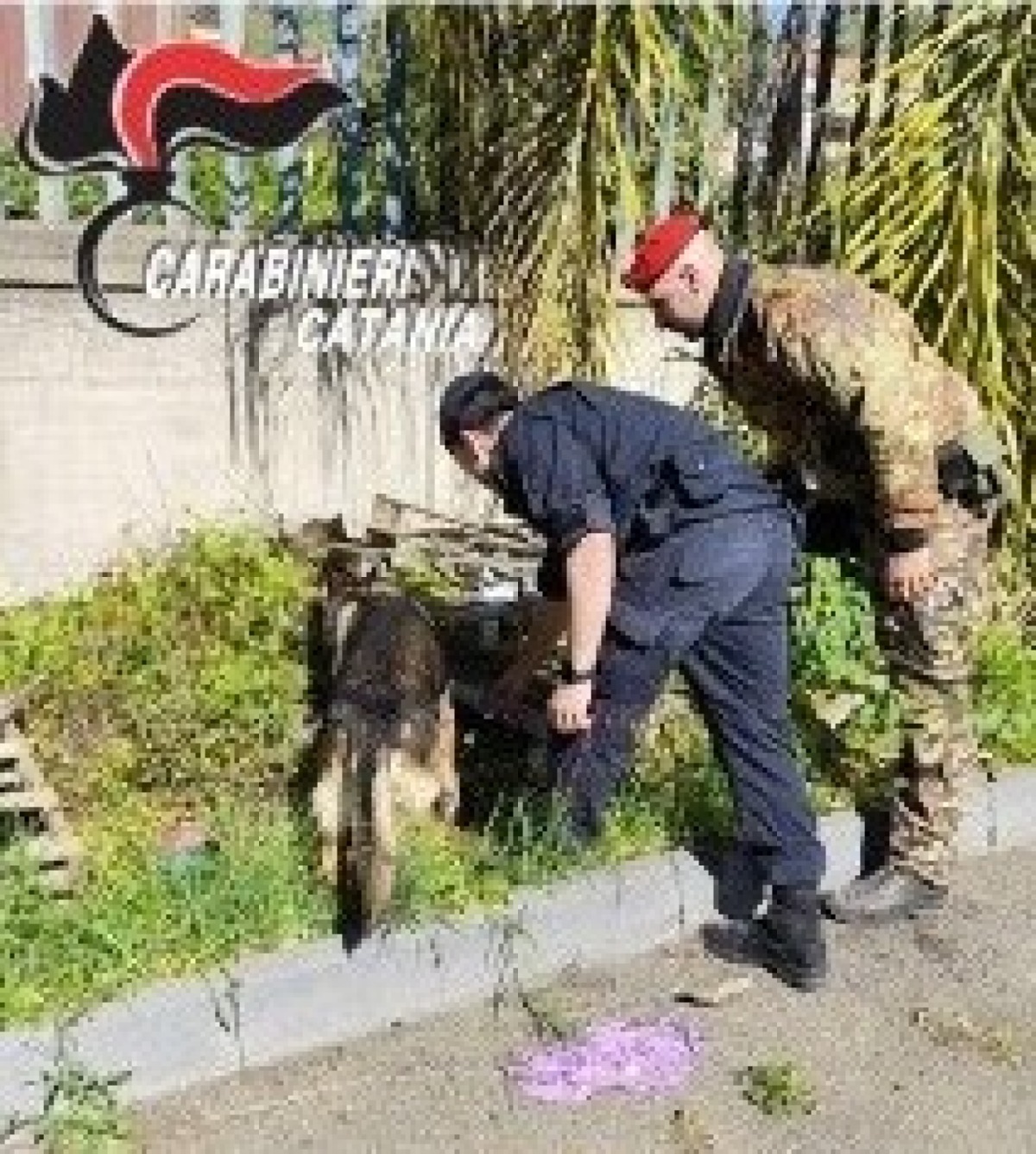 Calatabiano, casa dello spaccio con telecamere: denunciati marito e moglie - 