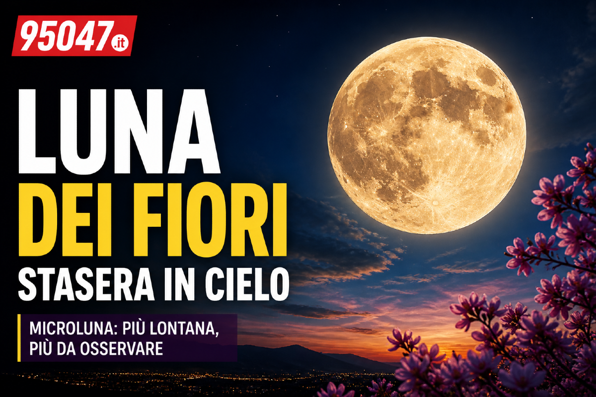 Stasera la Luna dei Fiori illumina il cielo: spettacolo imperdibile - 