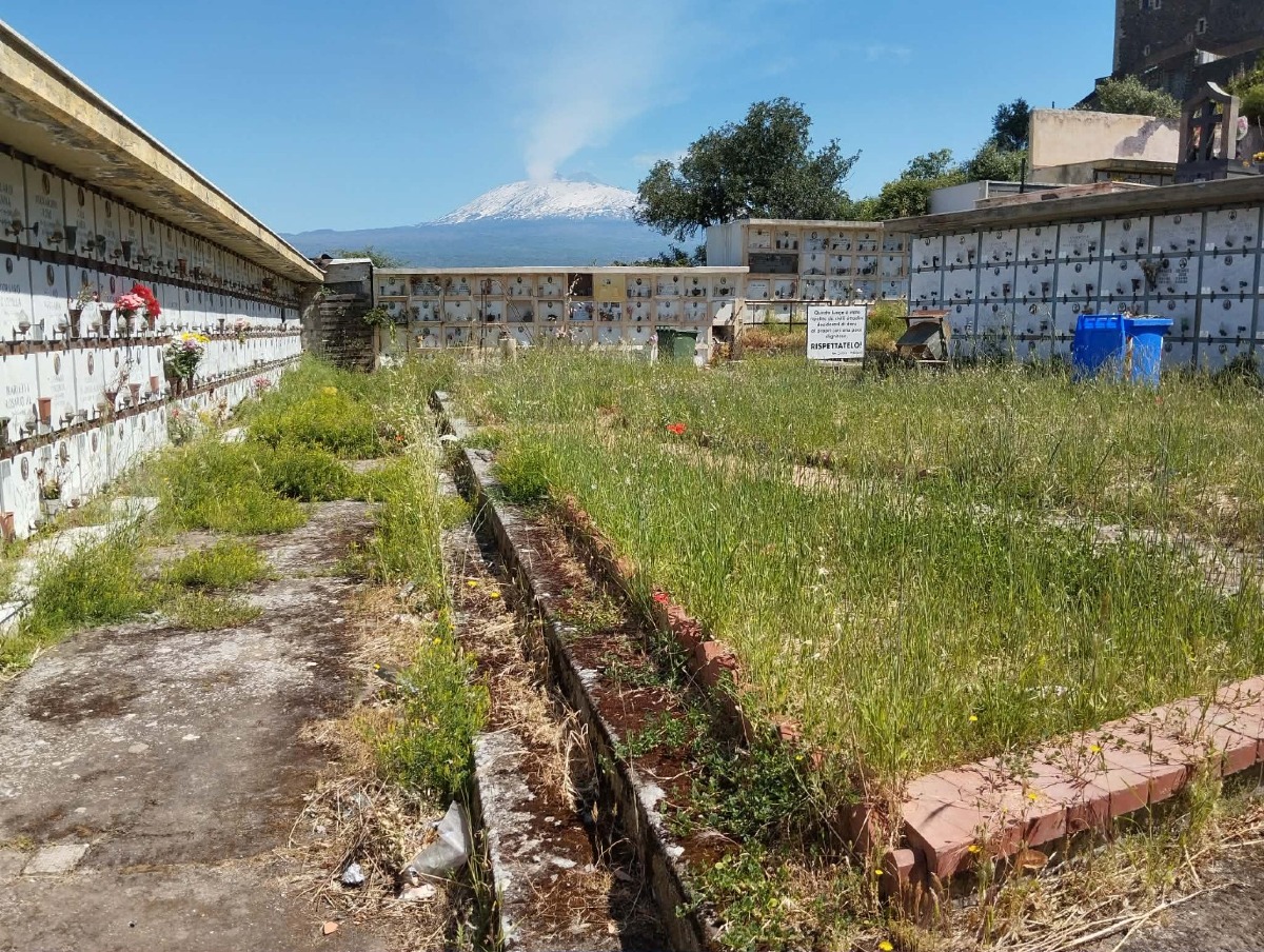 📢 Segnalazione lettori – Paternò, cimitero monumentale nel degrado: sembra una giungla - 