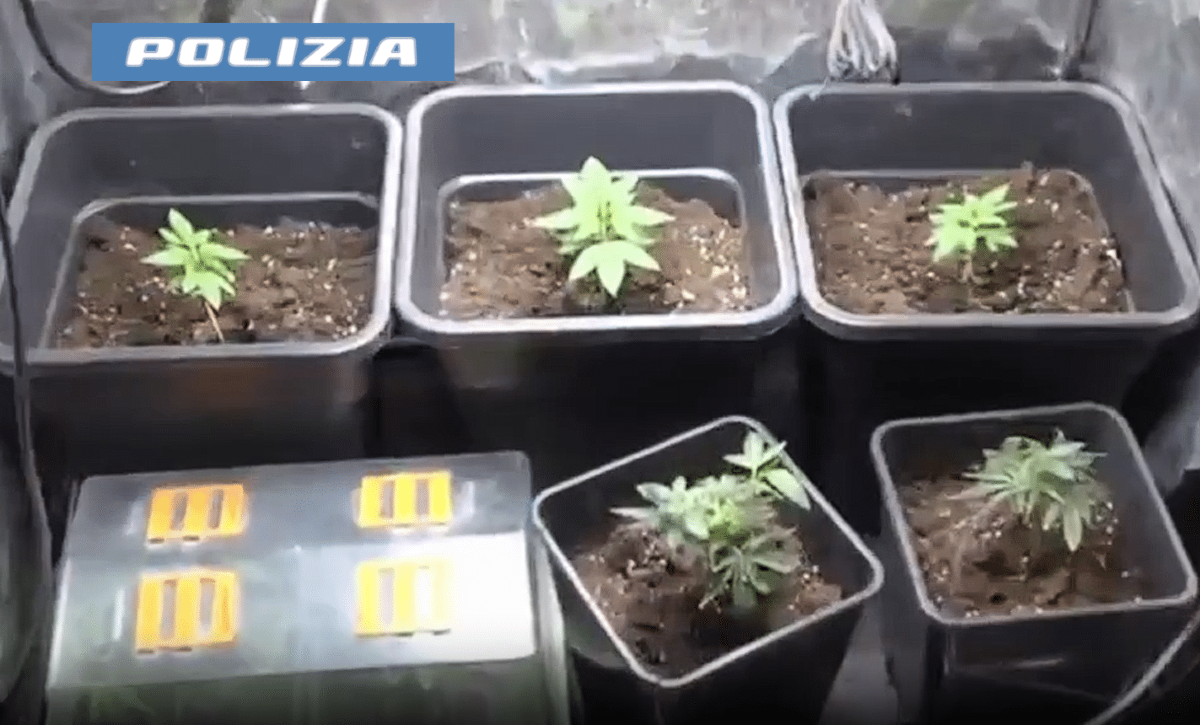 Paternò, scoperto deposito di documenti falsi: arrestato 49enne - 