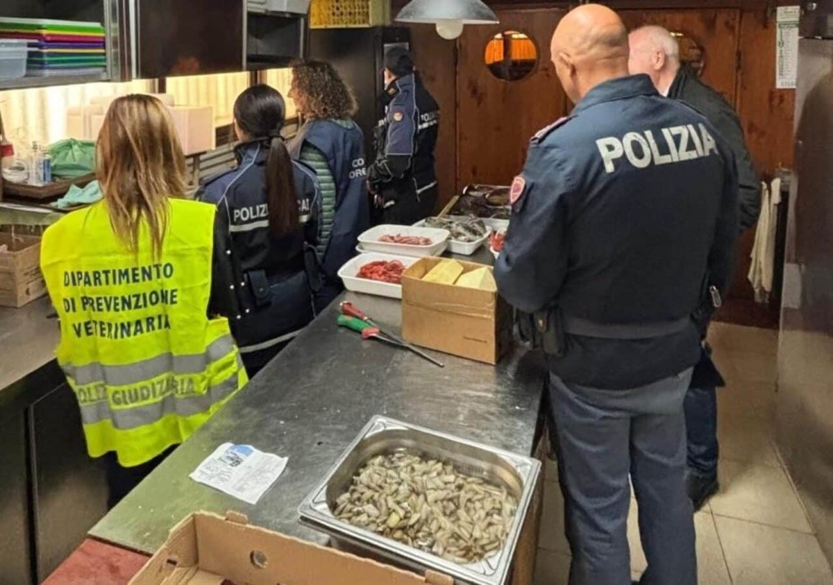 Catania, blitz in viale Marco Polo e piazza Vicerè: alimenti irregolari e lavoro nero, scattano chiusure - 